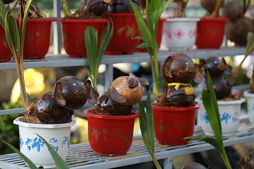 Chợ hoa xuân trên bến dưới thuyền… ảnh 2