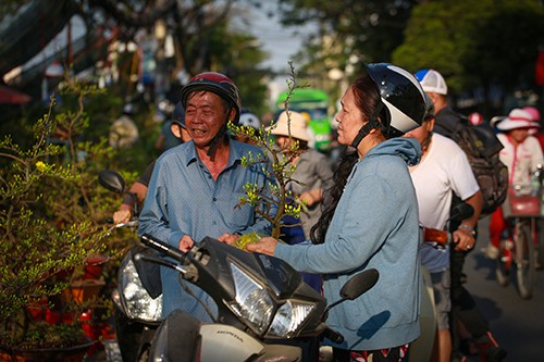 Chợ hoa xuân trên bến dưới thuyền… ảnh 9