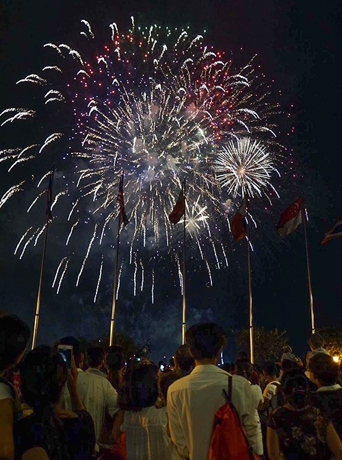 Người dân TP.HCM tập trung chật cứng xem bắn pháo hoa đón năm mới 2019 ảnh 5