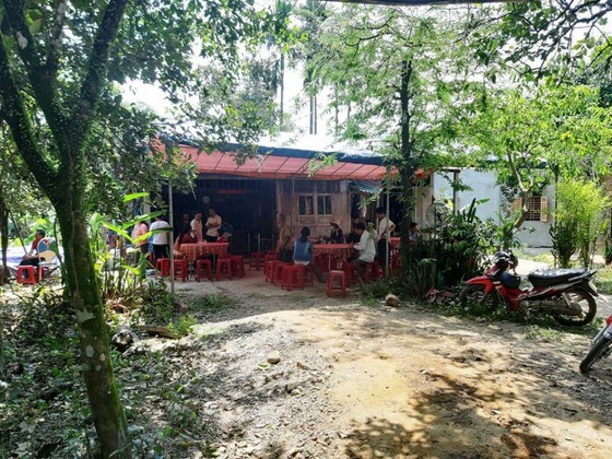 Đi lấy mật, người đàn ông bị ong đốt tử vong ảnh 1