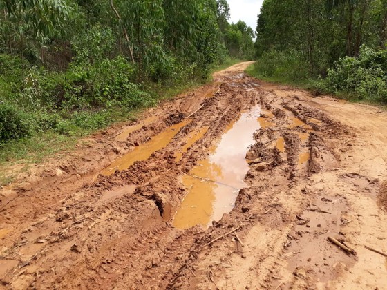 Gia Lai: Mỏ quặng đóng cửa, dân khoét đồi, đào đất khai thác lậu ảnh 4