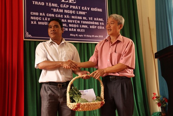Tặng sâm giống Ngọc Linh cho xã nghèo ảnh 3