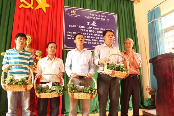 Tặng sâm giống Ngọc Linh cho xã nghèo ảnh 1
