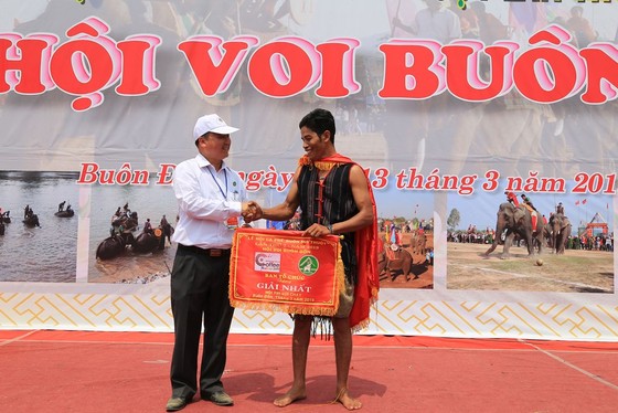 Đến xứ voi xem voi đá bóng ảnh 15