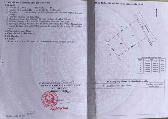 Công ty bất động sản Anh Luân: Chuyển nhượng đất vàng ảnh 2