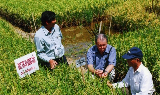 Một dòng lúa thơm và hai người Anh hùng Lao động ảnh 1