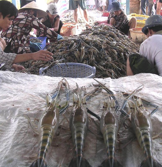 Biến phụ phẩm tôm gây ô nhiễm thành sản phẩm có giá trị gia tăng cao ảnh 3