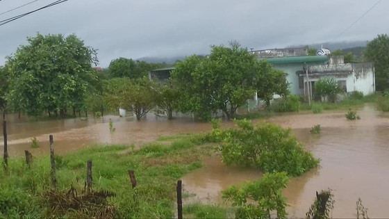 Mưa lớn, nhiều địa phương ở Đắk Lắk bị cô lập, phải di dời dân ảnh 3
