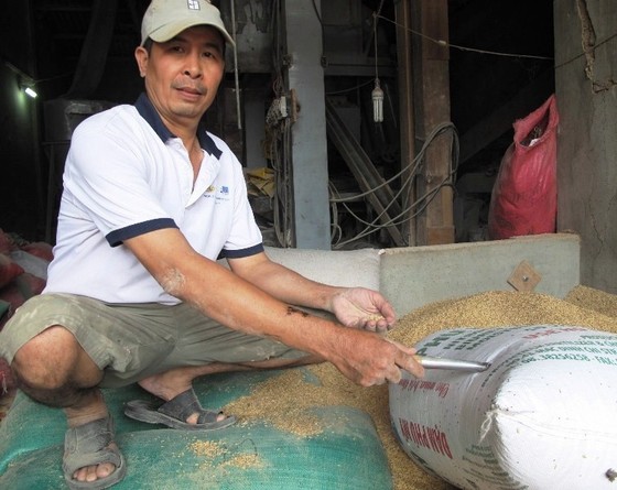 Chưa tìm ra chủ nhân 3 cây vàng bỏ quên trong bao lúa ở Bình Định ảnh 2