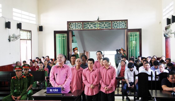 Phá rừng quy mô lớn, 9 bị cáo bị phạt 81 năm tù, buộc bồi thường 4,7 tỷ đồng ảnh 4