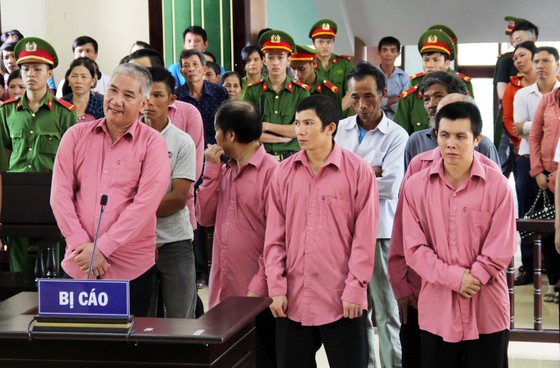 Phá rừng quy mô lớn, 9 bị cáo bị phạt 81 năm tù, buộc bồi thường 4,7 tỷ đồng ảnh 1