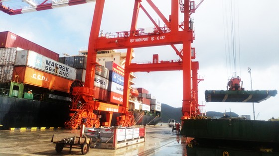 Cận cảnh tấn hàng thứ 8 triệu thông cảng Quy Nhơn. ảnh 5