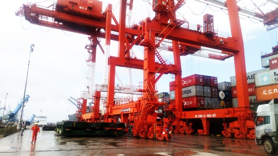Cận cảnh tấn hàng thứ 8 triệu thông cảng Quy Nhơn. ảnh 6