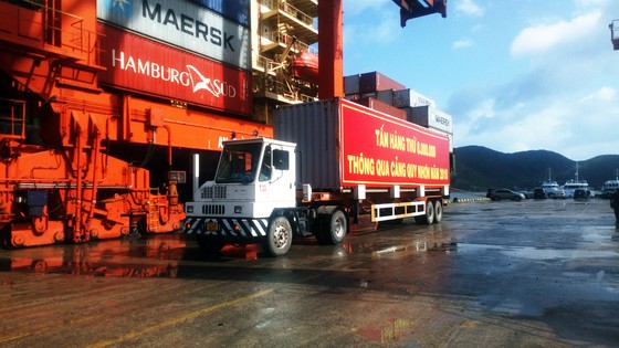 Cận cảnh tấn hàng thứ 8 triệu thông cảng Quy Nhơn. ảnh 4