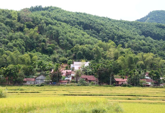 Nỗ lực phòng chống “bệnh lạ” tái phát ảnh 1