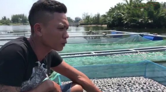 Nhiều bè cá lồng chết không rõ nguyên nhân tại Quảng Nam ảnh 1