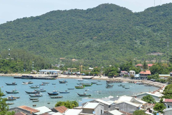 Bảo tồn và phát triển bền vững Cù Lao Chàm ảnh 1