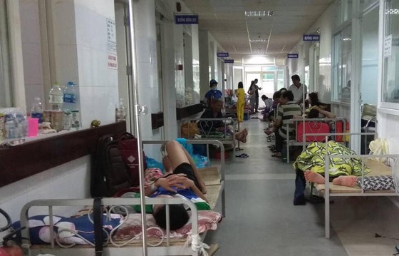 Đà Nẵng bùng phát bệnh sốt xuất huyết ảnh 1