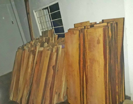 Giám đốc thủy điện chứa gỗ không rõ nguồn gốc ảnh 1