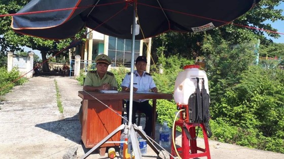 Tả heo châu Phi: Sóc Trăng xuất hiện dịch, Quảng Nam lây lan diện rộng ảnh 1