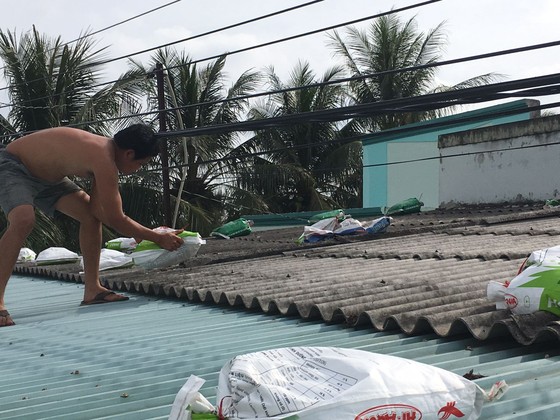 ĐBSCL thiệt hại 60.000 tỷ đồng do thiên tai ảnh 1