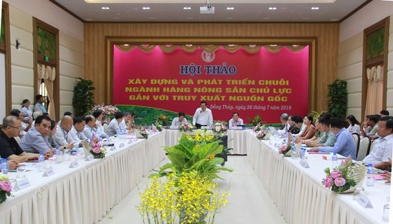 Đồng Tháp hợp tác TPHCM phát triển nông sản chủ lực ảnh 1