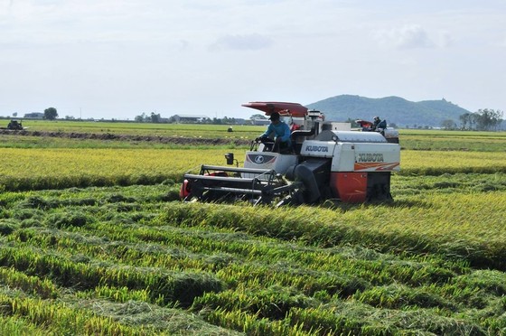 Triều cường tiếp tục dâng lên cao, nhiều nơi bị ngập sâu ảnh 1