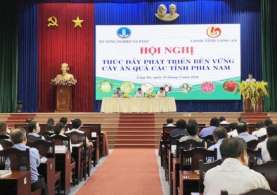 Hướng đến mục tiêu xuất khẩu trái cây đạt 3,6 tỷ USD vào năm 2020 ảnh 1