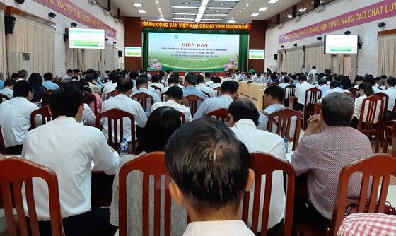 ĐBSCL: Hơn 230.000 người tham gia HTX Nông nghiệp ảnh 1
