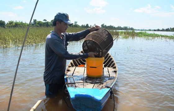 Lũ năm 2019 ở ĐBSCL sẽ đạt đỉnh trong vài ngày tới ảnh 3