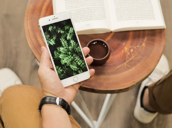 Với tầm 9 triệu, nên chọn iPhone 7 Plus hay Samsung Galaxy Note 8 chơi Tết? ảnh 1