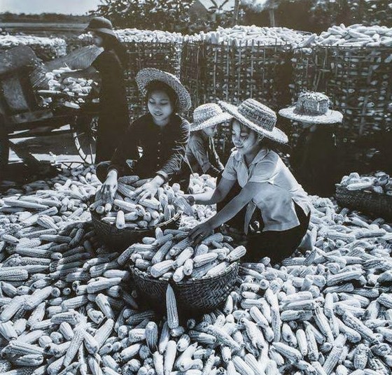 Hậu phương thời chiến - với những khung hình đen trắng đầy cảm xúc ảnh 4