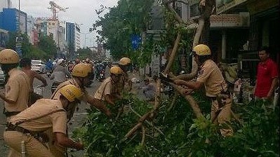 Gió lớn, cây ngã, nhà tốc mái, nhiều người bị thương ảnh 1