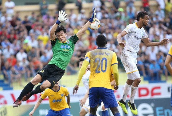 V-League 2019 và cuộc chiến từ các khu kỹ thuật ảnh 1