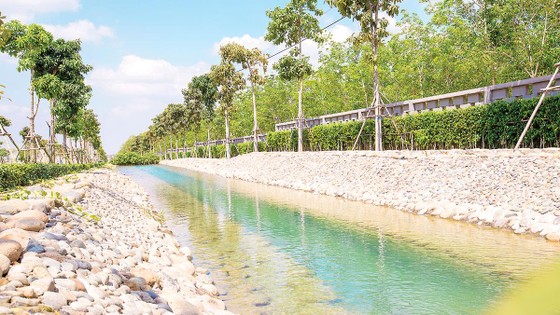 Ghé thăm khu vườn an lạc Sala Garden ảnh 3