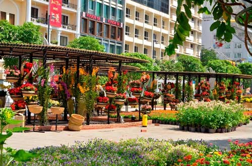 Đường hoa Nguyễn Huệ rực rỡ trước khai mạc ảnh 5