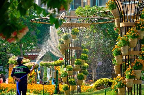 Đường hoa Nguyễn Huệ rực rỡ trước khai mạc ảnh 6