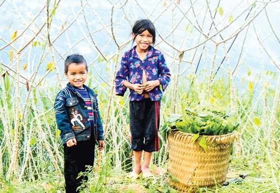 Phía sau một Sapa hoa lệ ảnh 4
