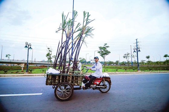 Hiểm nguy “xe mù” ảnh 6