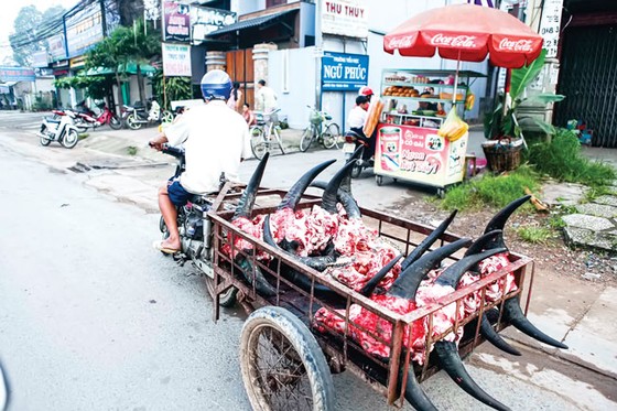 Hiểm nguy “xe mù” ảnh 7