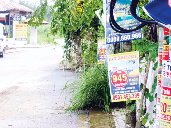 Đất ở lâu dài hóa thành quy hoạch ảnh 1