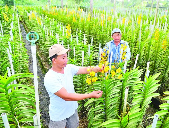 Đổi mới và sáng tạo, mấu chốt thành công ảnh 3