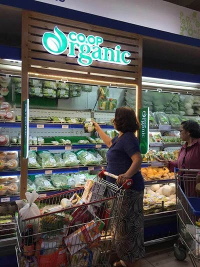 Hiện tượng sản phẩm organic “xịn” cháy hàng ở Co.opmart ảnh 1