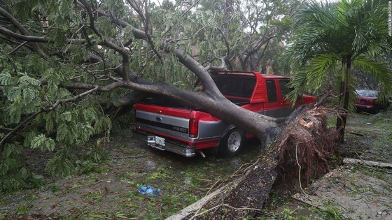 Florida tan hoang sau bão Irma ảnh 1