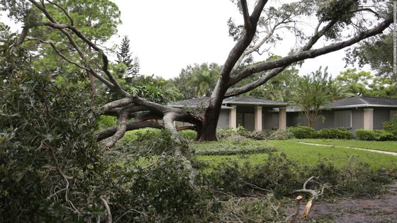 Florida tan hoang sau bão Irma ảnh 6