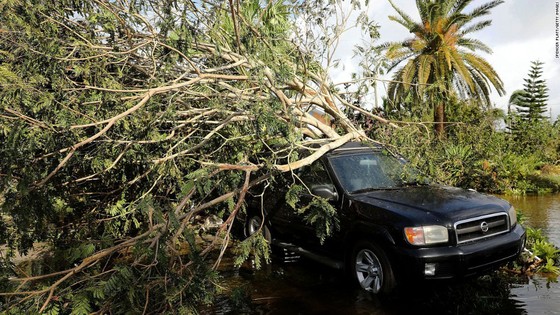 Florida tan hoang sau bão Irma ảnh 9