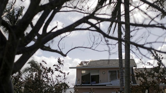 Florida tan hoang sau bão Irma ảnh 28