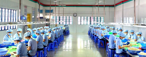 viet nam va ngoi vi ??vua hat dieu ?? the gioi bai 1 ??chien binh ?? nang dong