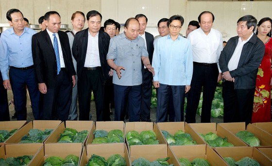 Thủ tướng Nguyễn Xuân Phúc: Trước khi gieo hạt nông dân phải biết tiêu thụ ở đâu ảnh 3