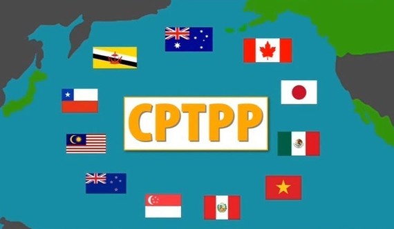 Việt Nam chính thức tham gia CPTPP từ hôm nay 12-11
